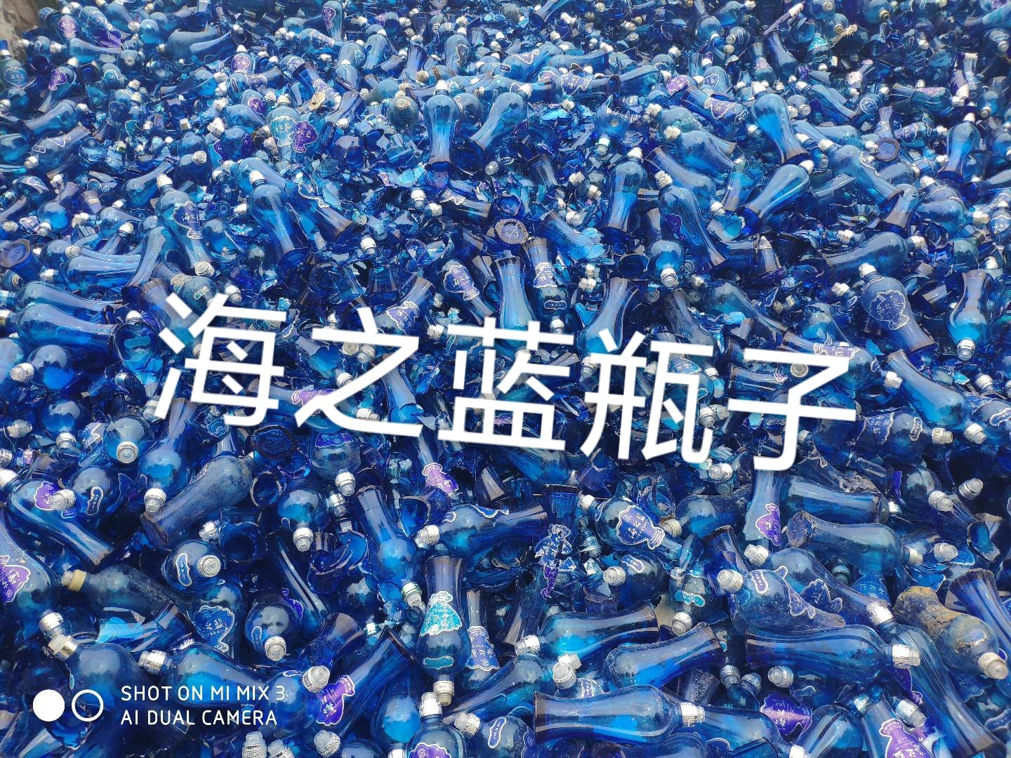 淮阴区海之蓝瓶回收